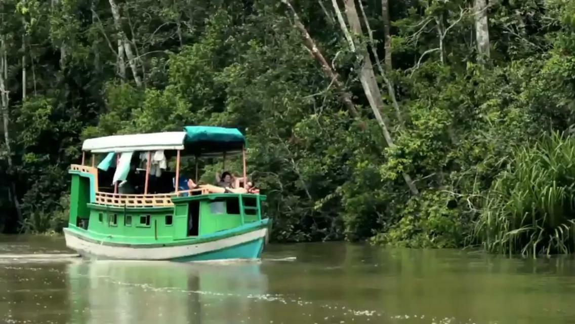 Orangutan Shaka Houseboat With Cabin Pangkalan Bun Exterior photo