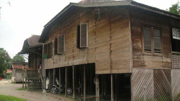 Orangutan Shaka Houseboat With Cabin Pangkalan Bun Exterior photo