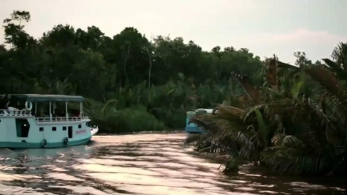 Orangutan Shaka Houseboat With Cabin Pangkalan Bun Exterior photo